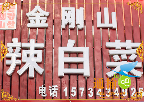 金刚山 辣白菜的图标